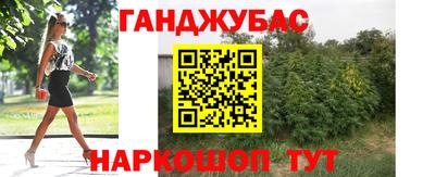 PSILOCYBIN Будённовск