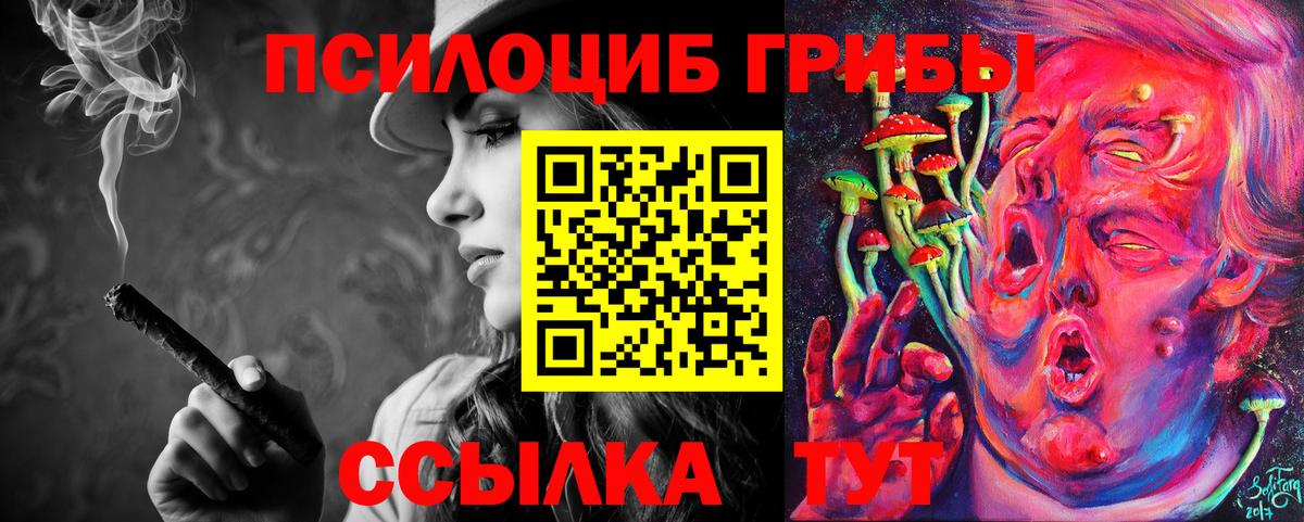 Псилоцибиновые грибы Cubensis Рузаевка