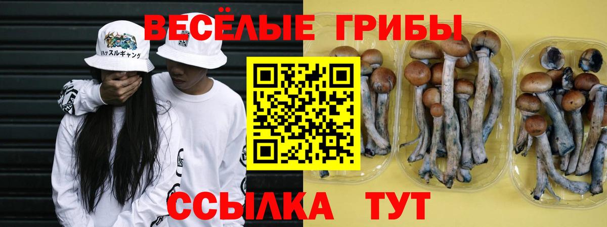 Рузаевка  Псилоцибиновые грибы Cubensis  Вход с VPN  Галлюциногенные грибы MAGIC MUSHROOMS 